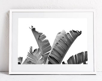 PRINTABLE WALL ART Print, Black and White Print Art, Nature Photography Download Print, Banana Leaf Art Tropical Art Large Modern Wall Print