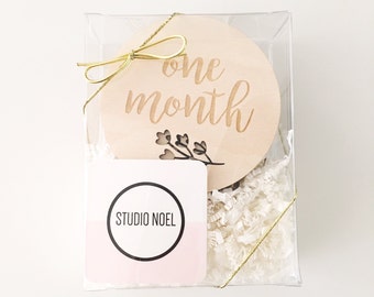 Items similar to Monthly Baby Milestones Photo Prop - Bundle for 12