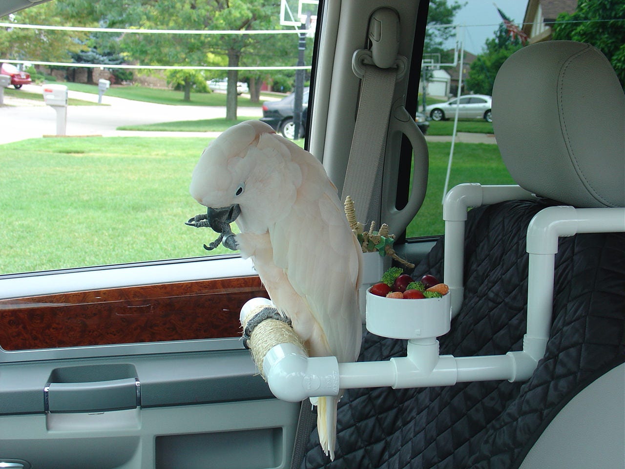 PVC Bird Car Seat Parrot Car Perch Food Bowls Sisal