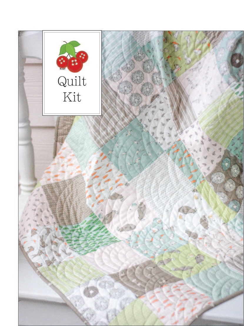 Darling Little Dickens Baby Quilt Kit Crib Quilt Kit Small