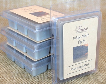 MORNING MIST - Wax Melt Tart - Super Sale!