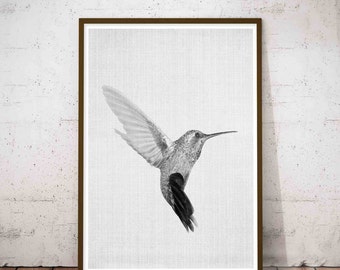 Colibri Wall Art, Colibri Print, Hummingbird Print, Art Printable, Hummingbird Art, Hummingbird Wall Art, Bird Wall Prints, Printable Art