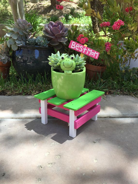 Custom Frog pot Wooden Planter Stand Sign Live Succulent