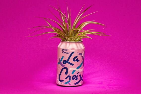 BERRY LA CROIX planter