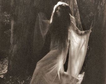 8 X 10 PRINT VINTAGE GYPSY photograph