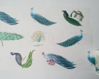 Design Washi tape Peacock bird