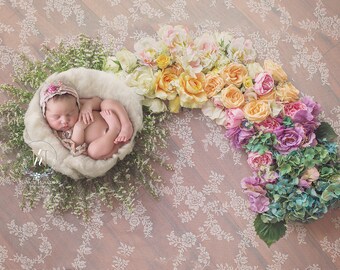 Newborn Digital Backdrop/ Prop / Photography / Rainbow basket / Fresh flowers (Laurel)