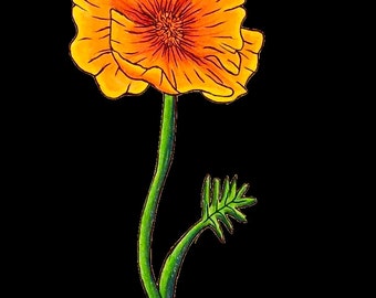 California Poppy Sticker