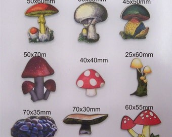 MUSHROMS BRIGHT And C!OLOURFULL 9 x in a pack