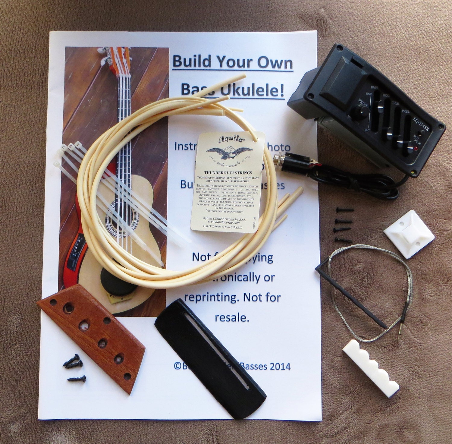 Build Your Own Bass Uke PLUS Kit