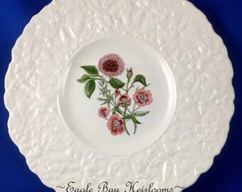 Royal Cauldon Bristol Ironstone Woodstock "Pimpernel" Luncheon Plate 9.25" England