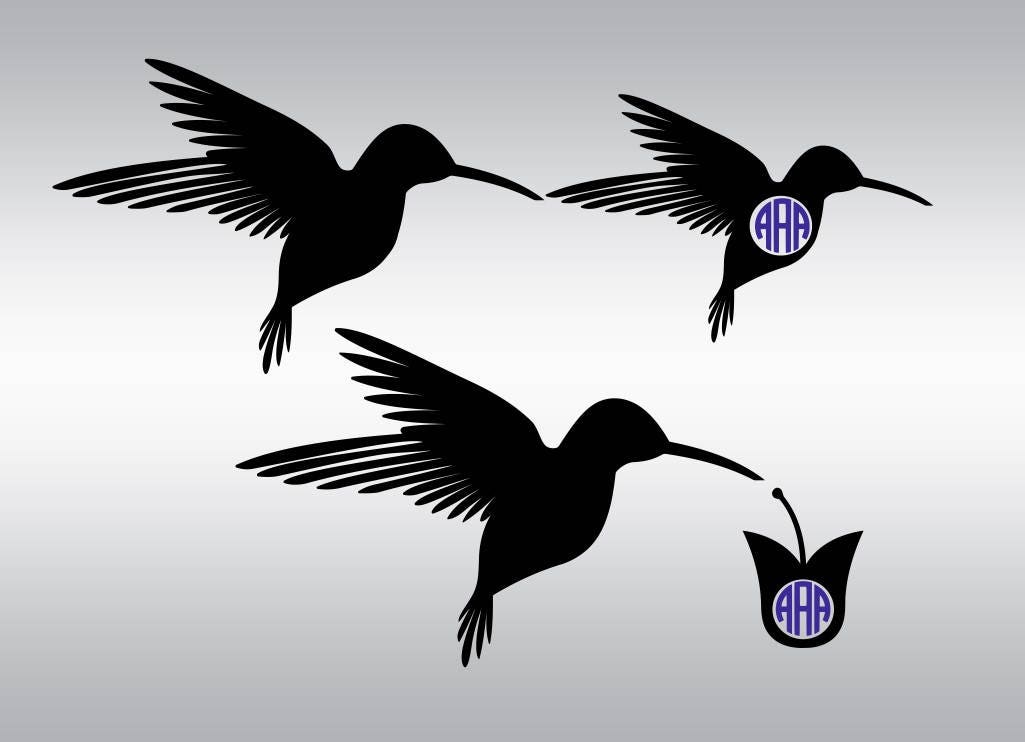 Download Free SVG Cut File - Hummingbird Silhouette Free vector silhouettes...