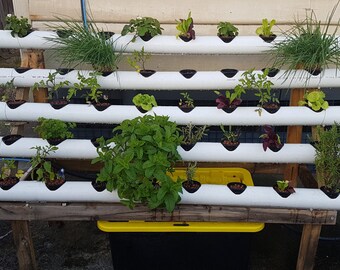 Items similar to Green Place Tiny Space Hydroponic System on Etsy