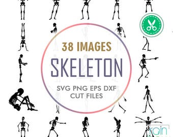 Skull Clipart, Skeleton Svg, Skeleton Clipart, Skull Svg, Skeleton Silhouette, Anatomy Svg Files, Anatomy Clip Art, Svg File For Cricut, Dxf