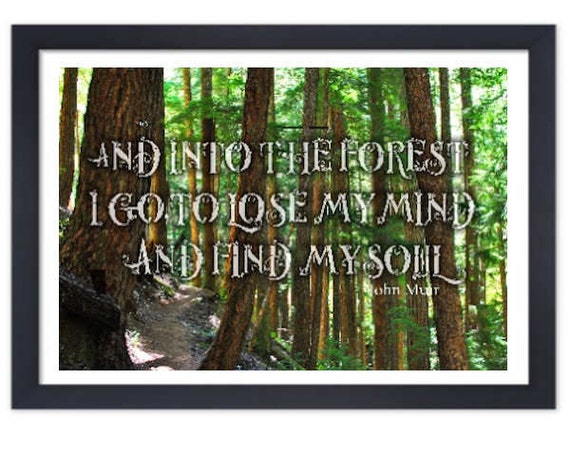 and into the forest i go to lose my mind and find my soul shirt