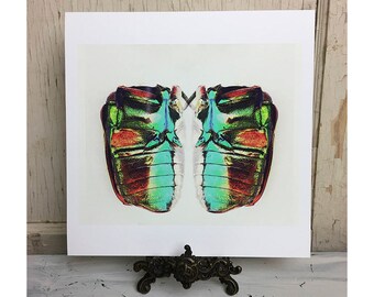 Beetle, fine art photography, print
