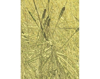 Arts & Crafts Style Floral Art Print of Cattails