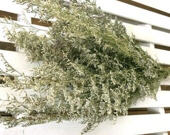 SALE Dried FLOWERS Lovely CASPIA Dried Flower Bunch Wedding Flowers bunch flower bunch Shabby cottage Green Filler Flowers Dried Floral Folk