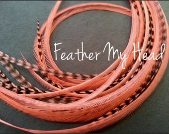 Feather Hair Extensions 9 - 12 Inches Long (23-30cm) Thin Fashion Euro - Grizzly Stripe And Solid Mix - 10 Pc Coral Pink