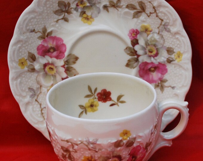 Hohenberg Bavaria - tea cup and saucer - Flora Apple Blosson Vintage - Shabby Chic pink green