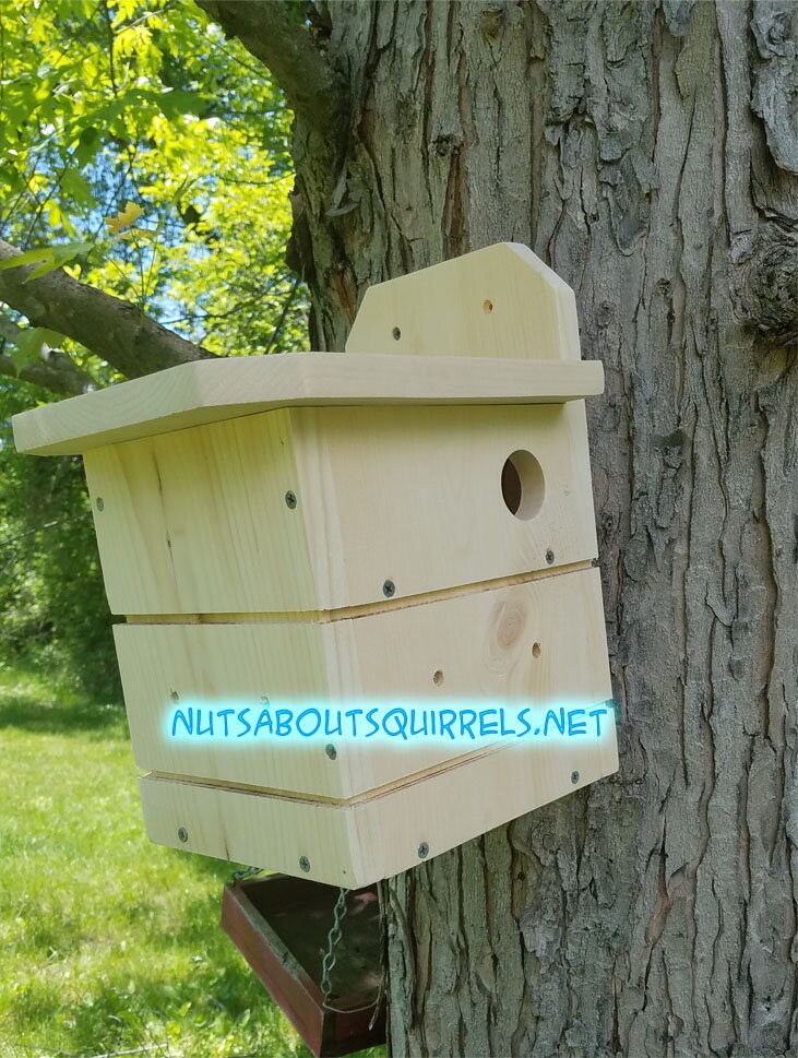 Southern Flying Squirrel House
