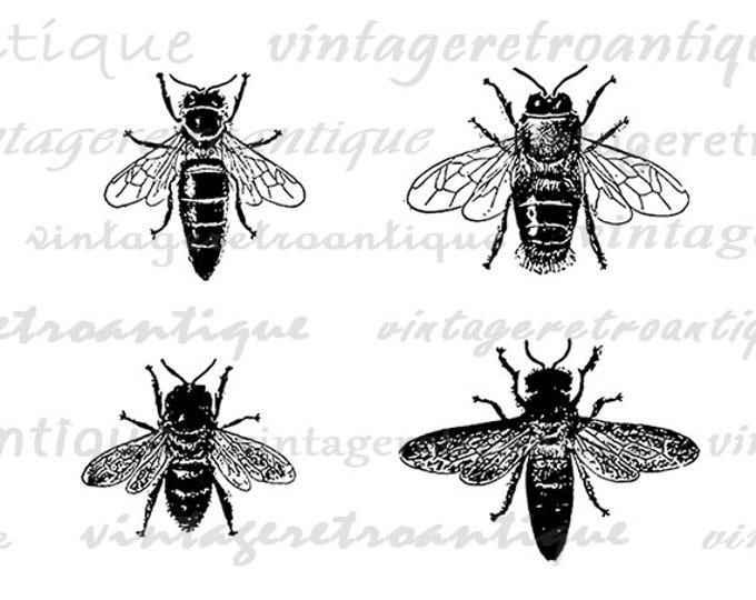 Printable Bees Graphic Bee Collage Sheet Image Bees Digital Illustration Insect Bug Antique Clip Art Download Jpg Png Eps HQ 300dpi No.3116