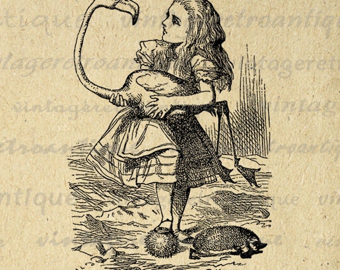 Alice Holding Flamingo Graphic Image Download Alice in Wonderland Printable Digital Antique Clip Art Jpg Png Eps HQ 300dpi No.017