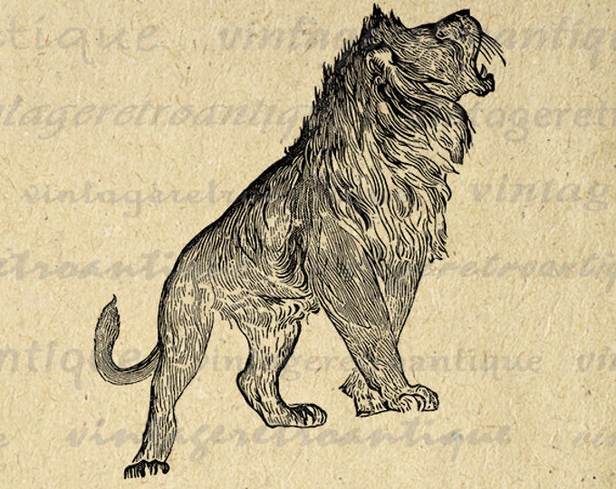 Roaring Lion Printable Digital Image Antique Download Graphic Vintage Clip Art Jpg Png Eps HQ 300dpi No.381