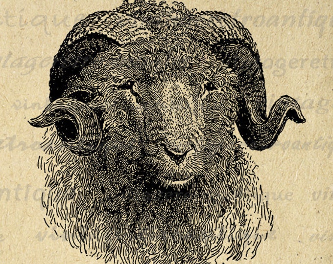 Printable Digital Sheep Ram Image Head Horns Download Graphic Antique Clip Art Jpg Png Eps HQ 300dpi No.3067