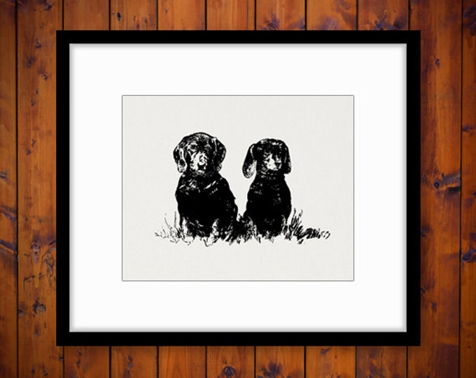 Two Dachshund Wiener Dogs Printable Digital Download Graphic Illustration Image Antique Clip Art Jpg Png Eps HQ 300dpi No.3473