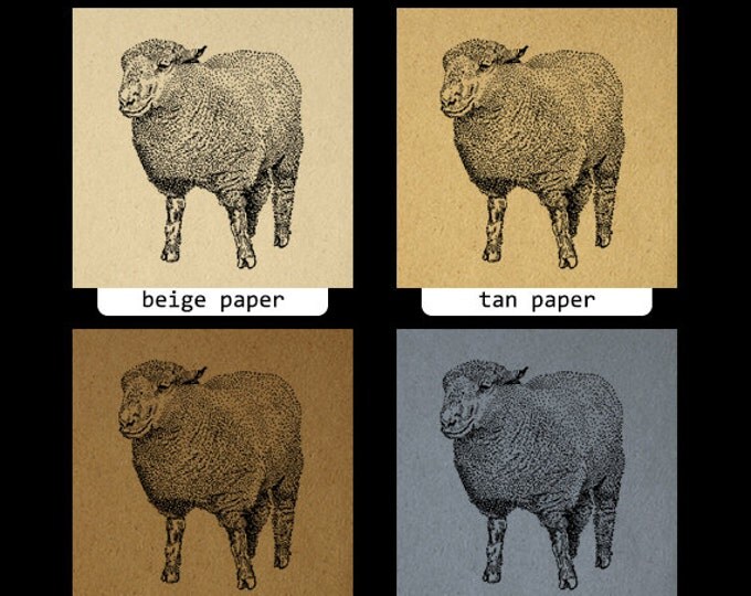 Printable Southdown Ram Sheep Graphic Digital Illustration Image Download Vintage Clip Art Jpg Png Eps HQ 300dpi No.3250