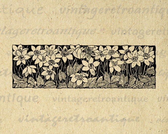 Printable Graphic Flower Banner Digital Design Element Image Download Vintage Clip Art Jpg Png Eps HQ 300dpi No.2280