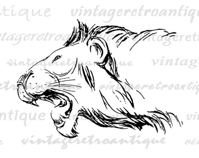 Printable Digital Lion Head Download Image Graphic Illustration Vintage Clip Art Jpg Png Eps HQ 300dpi No.2864