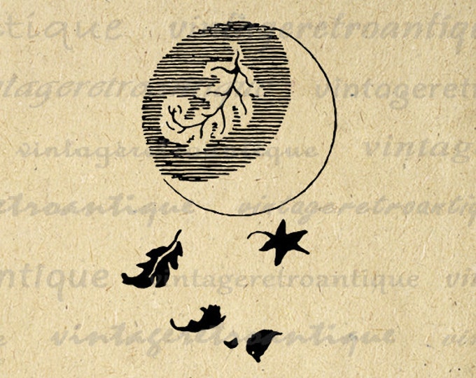 Printable Image Moon and Leaves Graphic Illustration Digital Download Vintage Clip Art Jpg Png Eps HQ 300dpi No.910