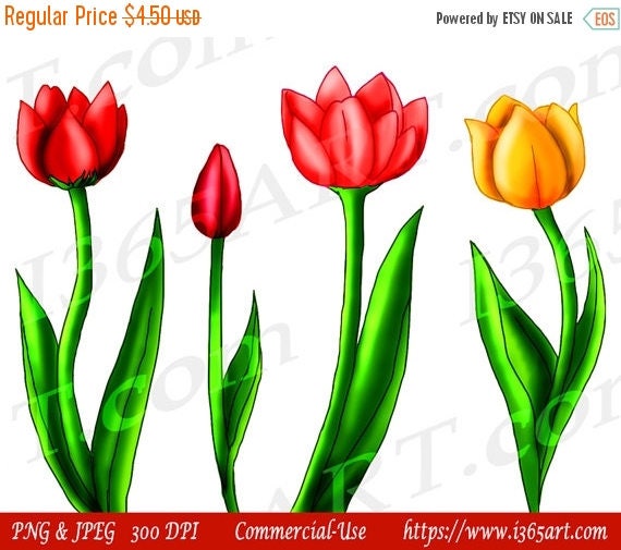 clipart tulip flowers - photo #50