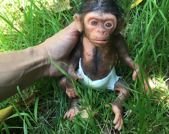 mini baby scimpanzè