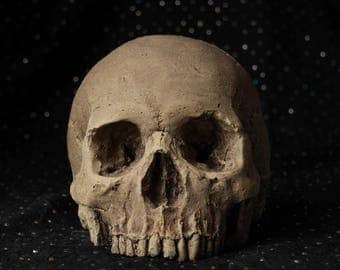 HUMAN SKULL REPLICA (natural) full size realistic replica made from plaster of Paris and painted for an aged, weathered effect