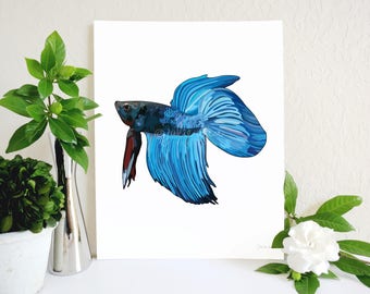Blue Betta Fish Art Print, Beta Fish Art, Half Moon Betta, Fighting Fish, Fish Lover Gift, Betta Fish Memorial, Fish Illustration, Pet Fish