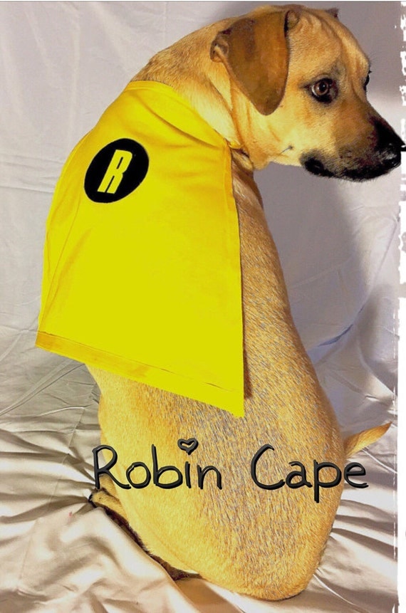 Robin Cape dog costume pet costume dog cape halloween
