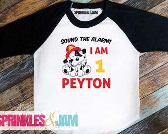 Fireman Birthday Shirt, Firefighter Birthday TShirt, Boys 1st Birthday Clothes, Fireman Party, First Birthday Tee, Raglan