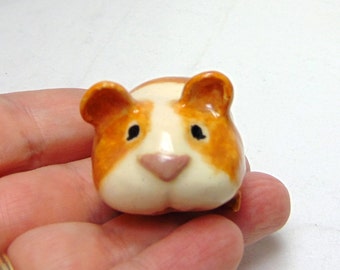 miniature teddy bear hamster