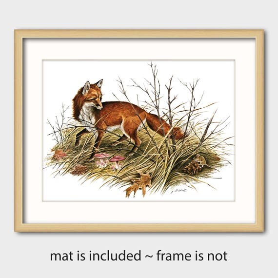 Vintage Fox Art Print w/Mat Rustic Decor Cottage Wall Art