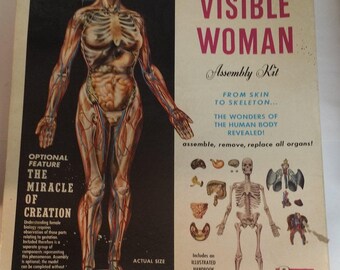 Vintage Renwal Visible Woman with Miracle of Creation and Organs but No Skeleton -- 1960 Anatomical Model, Science Fair, Art Assemblage