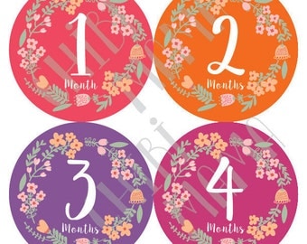 Baby Girl Stickers, Baby Floral Stickers, Monthly Flower Stickers, Colorful Monthly Stickers, Baby Flower Stickers, Baby Month Stickers