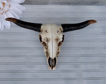 Texas Longhorn Skull. Cow Skull. Faux Taxidermy. Large Skull Head. Animal Head. Wall Decor. Wall Hangings. Skull Head. Skull Decor.