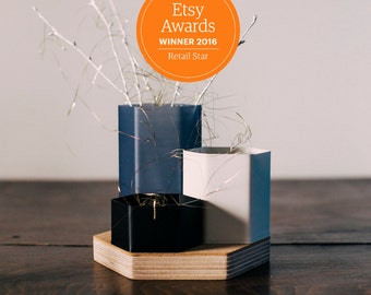 3D PRINTED pots - vase - desk organizer - pen holder - magnetic wood base - for cactus - stationery - made by 3d printing and cnc cutting