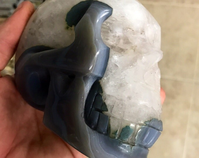 Blue Lace Agate & Quartz Crystal Skull- High Quality from Brazil- Open Top to see Crystal Points Crystal Skull / Home Decor / Stone Skull