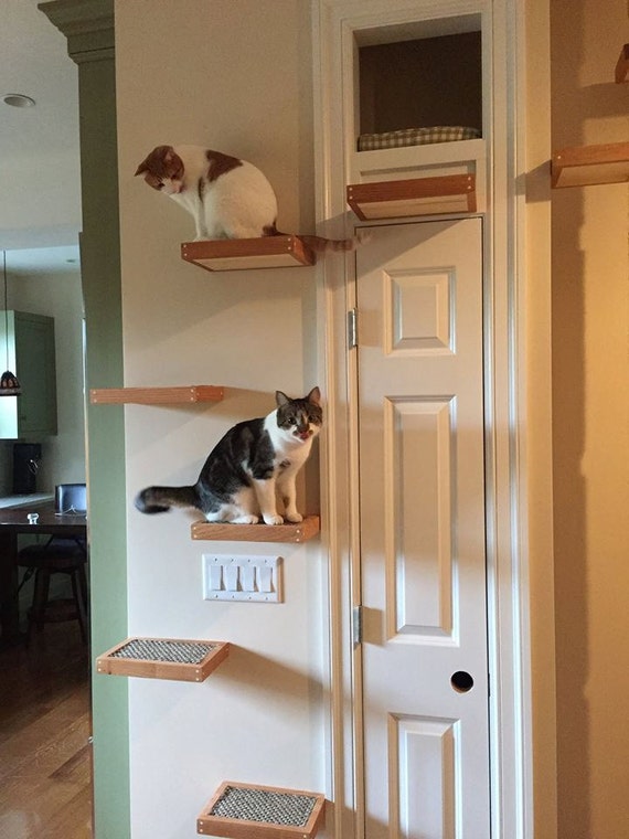 Cat Ledge. Cantilevered Cat Shelf Inlay Sisal Steps Oiled