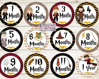 Wizard Kids Harry Potter Monthly Baby Milestone Stickers
