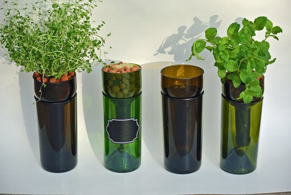 Self Watering Hydroponic Garden Gift / Wine Bottle Indoor Herb